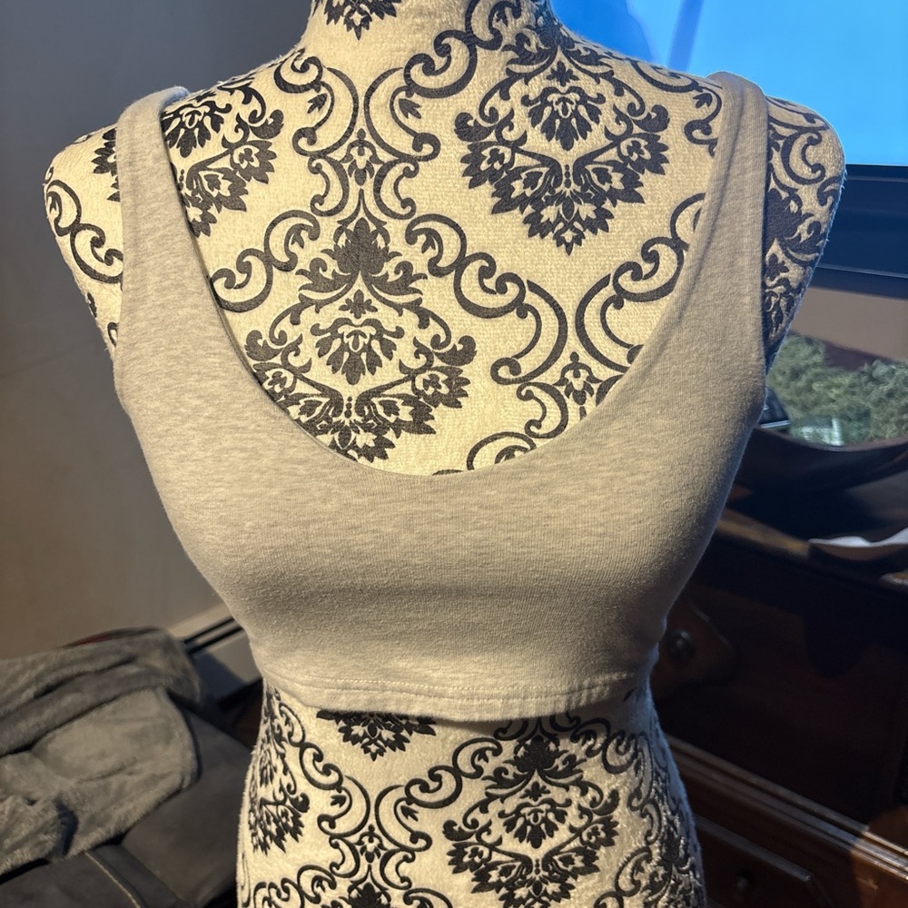 John Galt Gray Cropped Tank Top